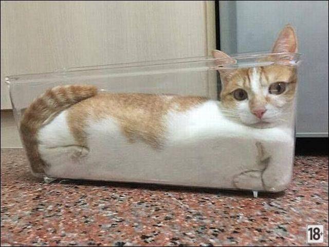 Прикольные фото дня