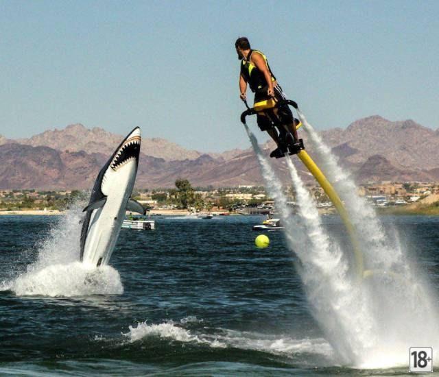 Прикольные фото дня