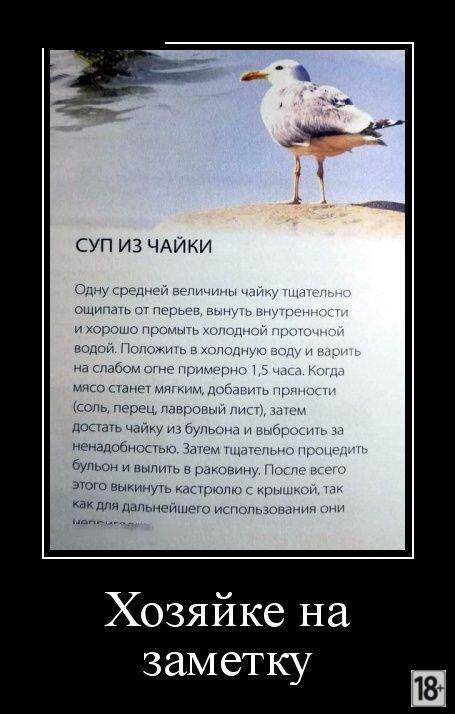 Демотиваторы - приколы!