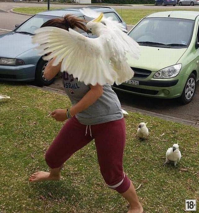 Прикольные фото дня