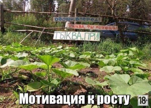 Самые прикольные фотомемы дня!