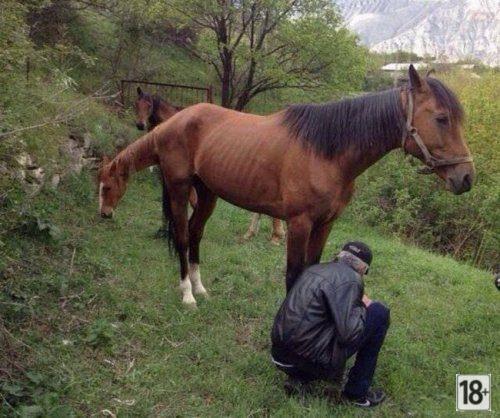 Оказалось - показалось!