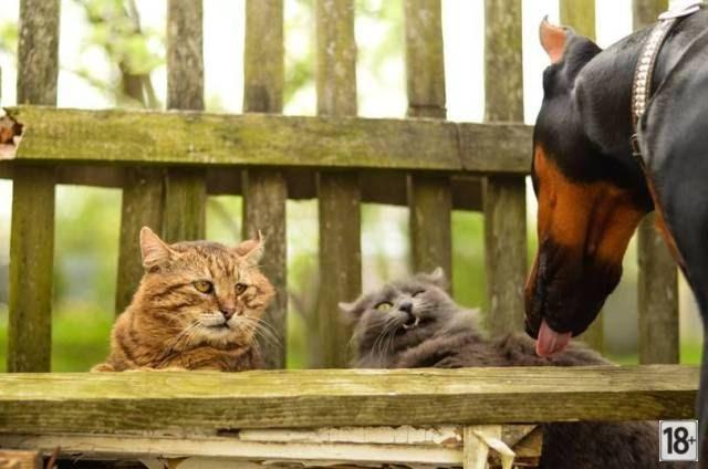 Прикольные фото дня