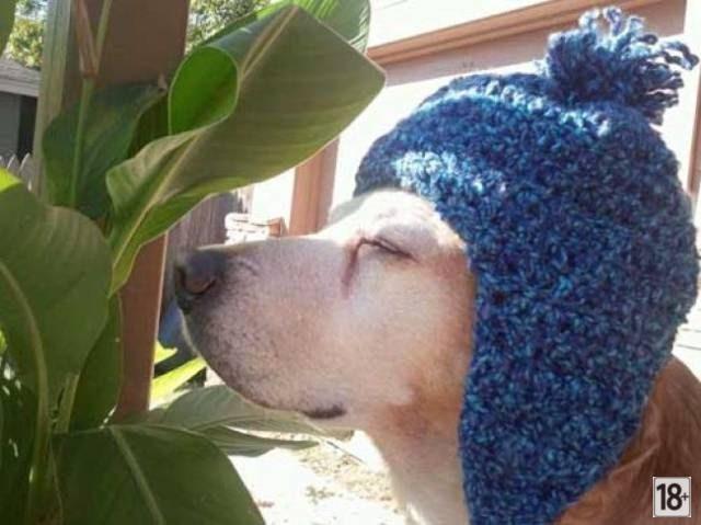 Прикольные фото дня