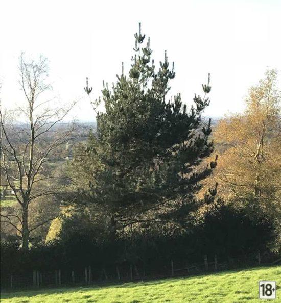 Прикольные фото дня