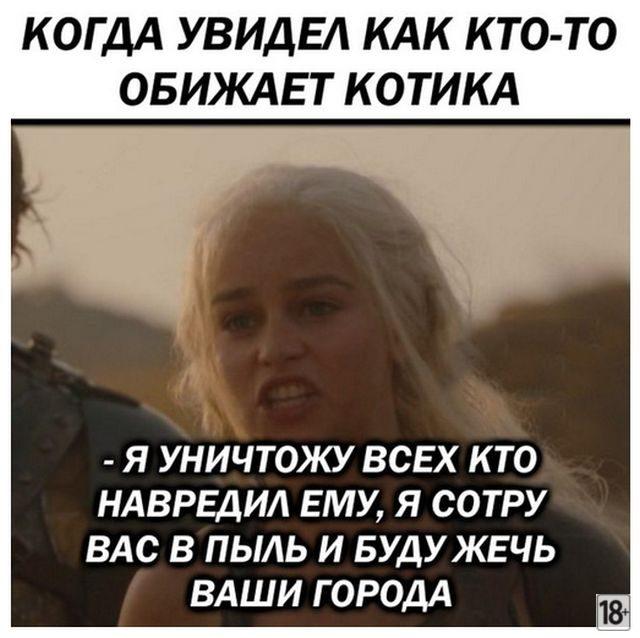 Прикольные фото дня