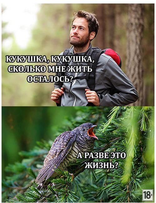 Прикольные фото дня