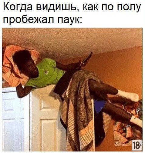 Самые прикольные фотомемы дня!