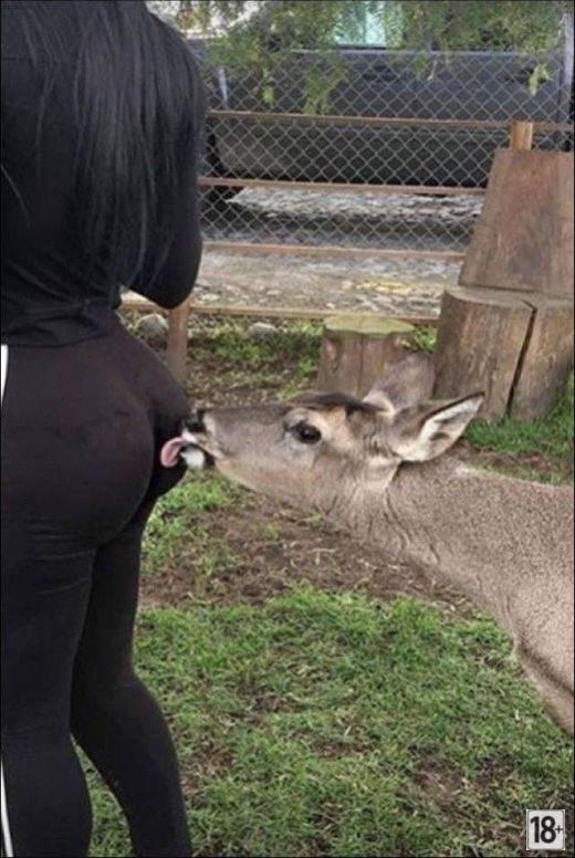 Прикольные фото дня