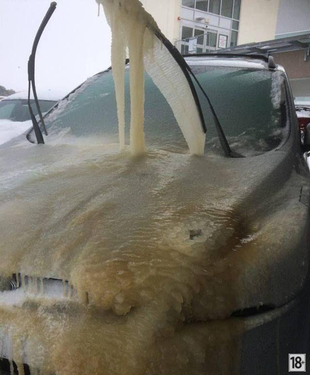 Прикольные фото дня