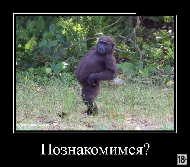 Демотиваторы - приколы!