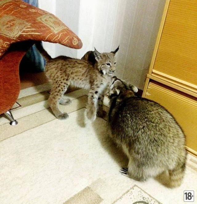 Прикольные фото дня