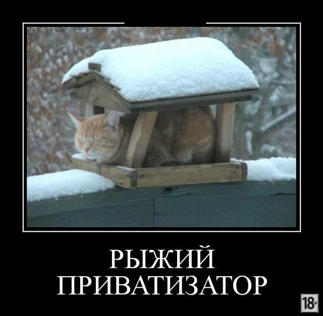 Демотиваторы - приколы!