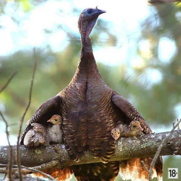 Прикольные фото дня