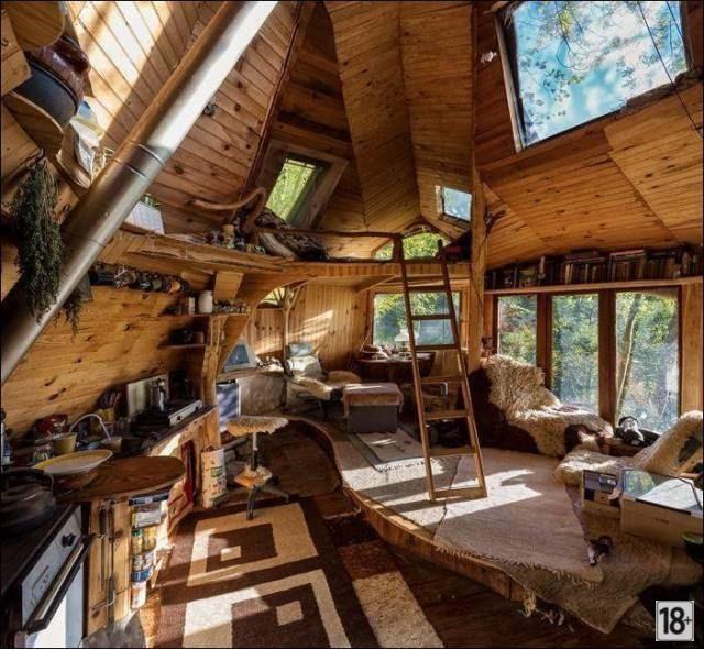 Прикольные фото дня