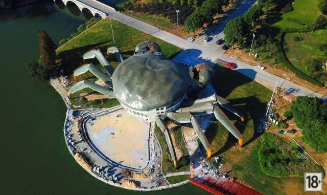 Прикольные фото дня