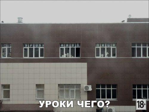 Самые прикольные фотомемы дня!