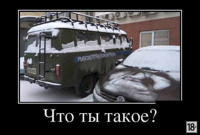 Демотиваторы - приколы!