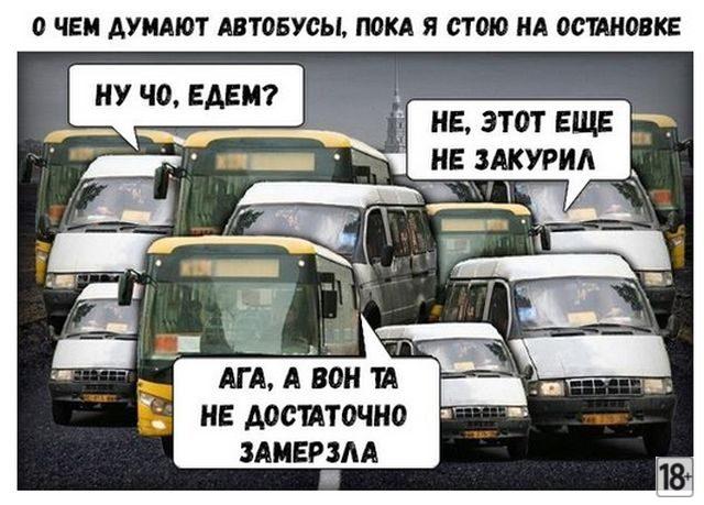 Прикольные фото дня