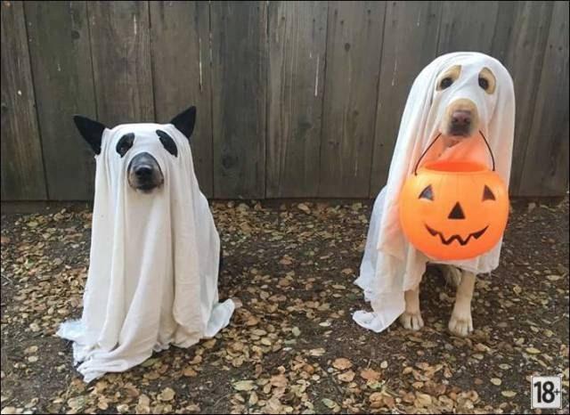 Прикольные фото дня