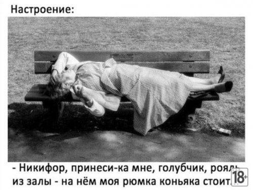 Самые прикольные фотомемы дня!